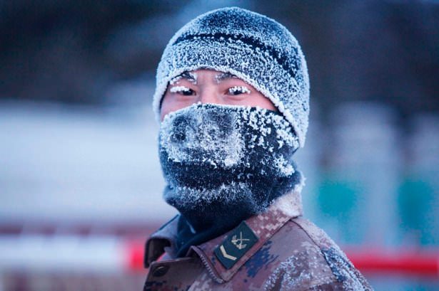 Dünyadan en ilginç asker fotoğrafları!