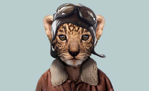 İnsan kılığına girmiş en tatlı hayvanlar!